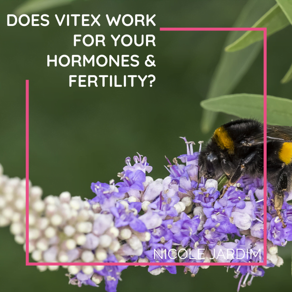 Does Vitex Work For Your Hormones Fertility 1024x1024