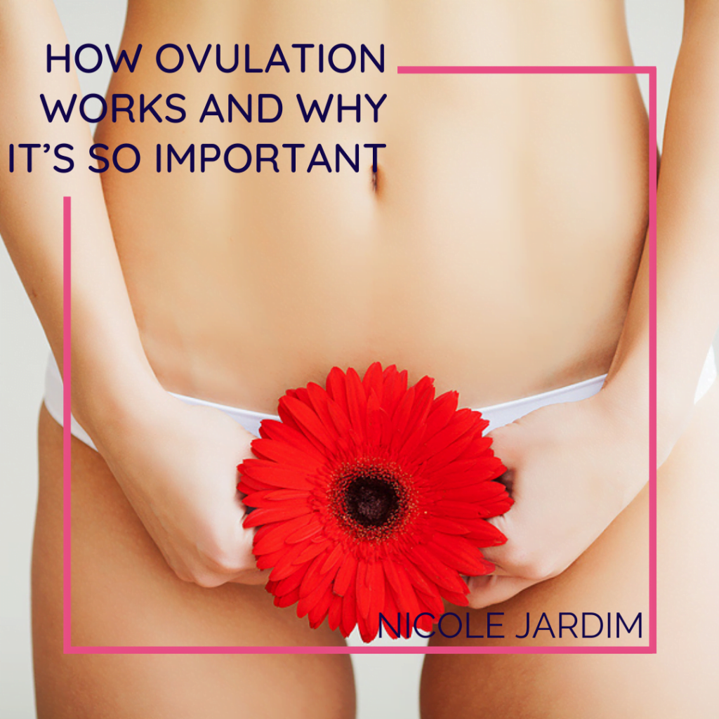 How Ovulation Works And Why Its So Important 1024x1024