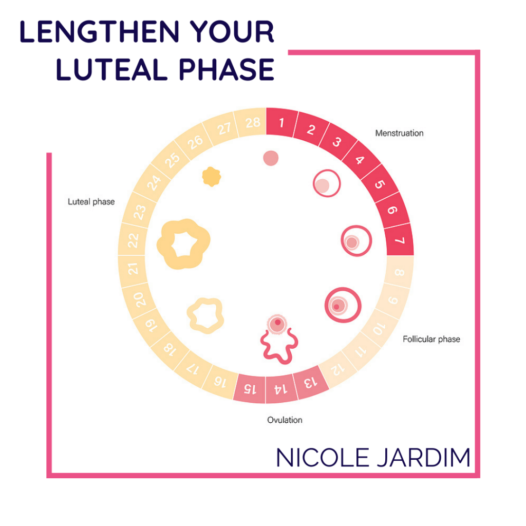 Lengthen Your Luteal Phase 1024x1024