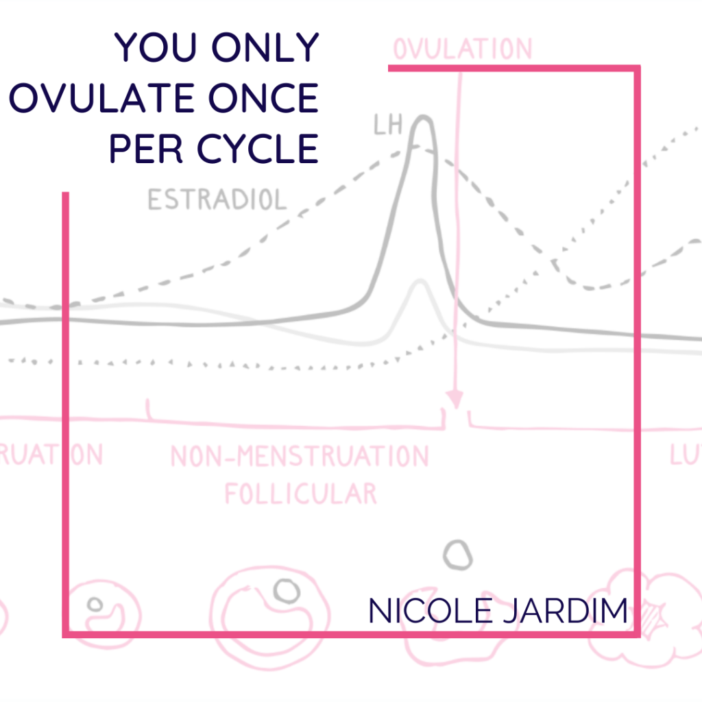 You Only Ovulate Once Per Cycle 1024x1024