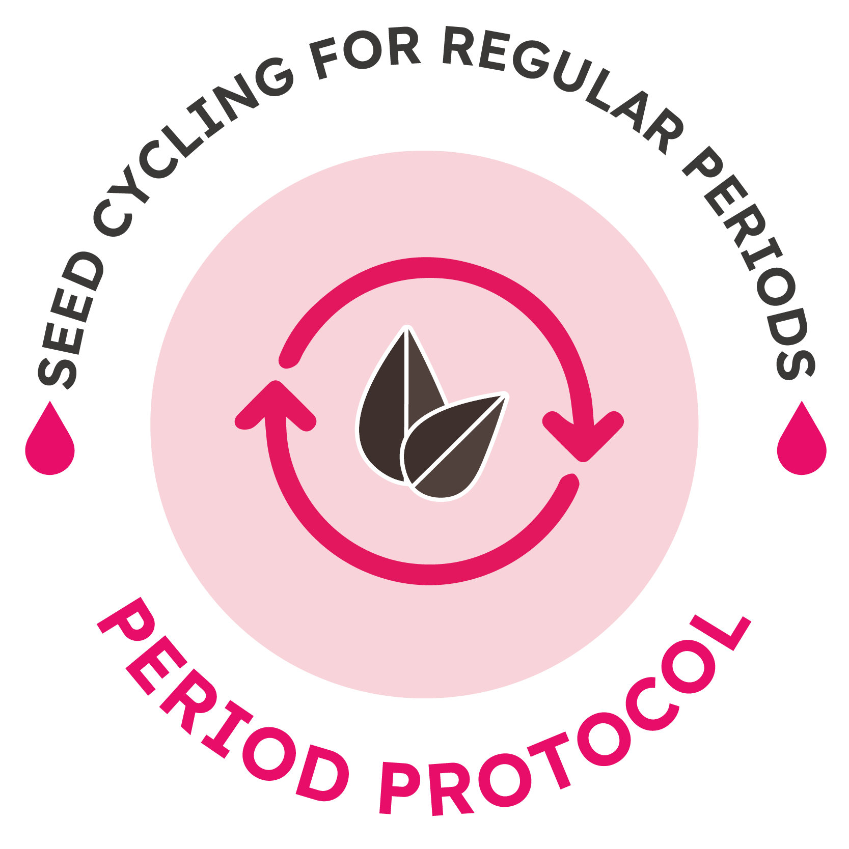 Seed Cycling For Regular Periods Protocol Fix Your Period Collective seed-cycling-for-regular-periods-protocol-fix-your-period-collective