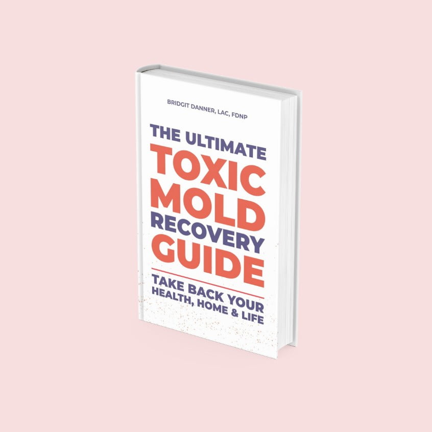 The Ultimate Toxic Mold Recovery Guide by Bridgit Danner