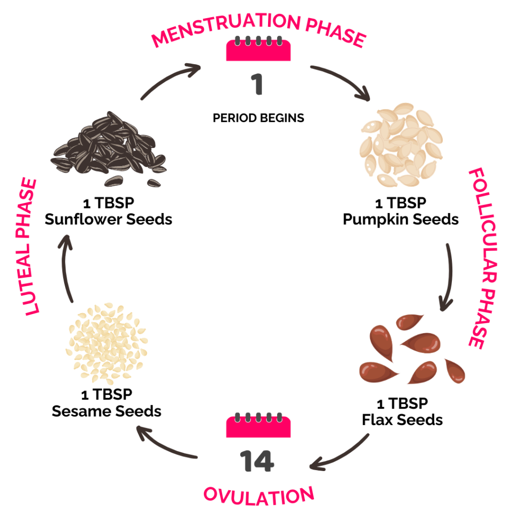 Regular Seed Cycling