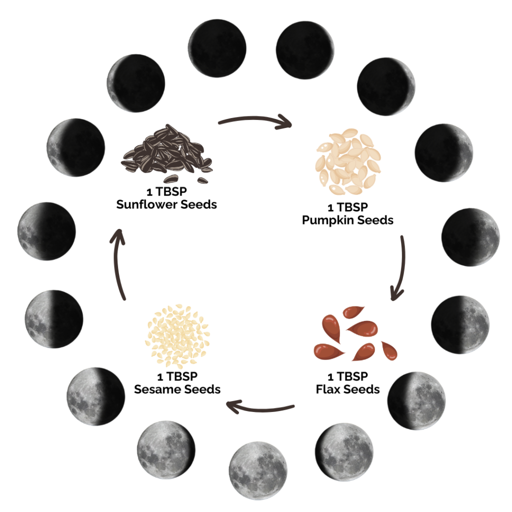 Seed Cycling